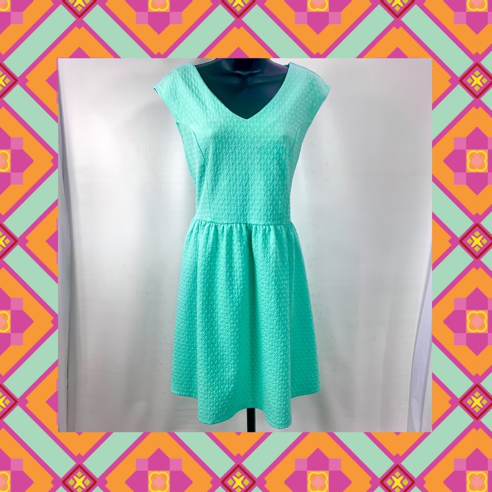 No Boundaries Mint Skater Dress (L)
